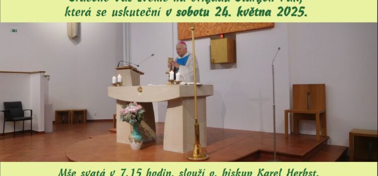 Brigáda Starých pák